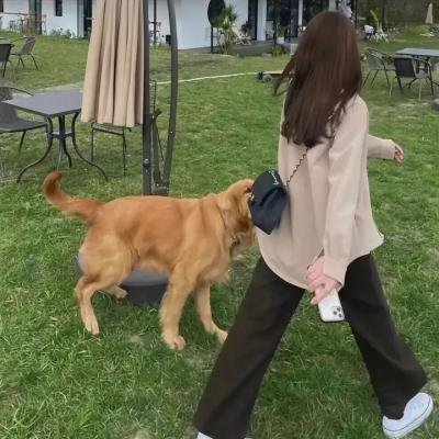 在我消失之前